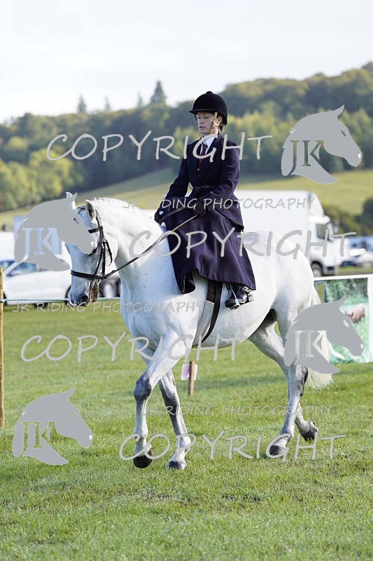 _DSC9382 - Class 8 & 17 Ridden Hunter & Ridden Hunter Pony