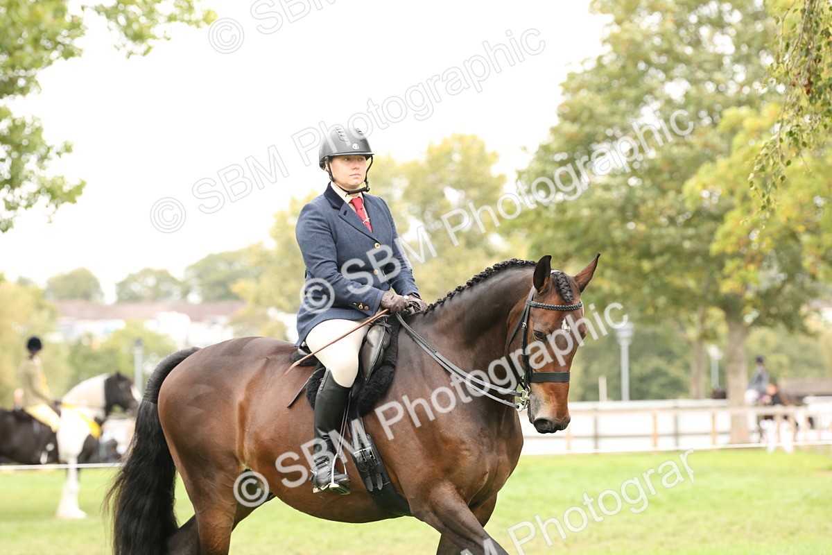 SBM_66265 - S66 - Hunter Ridden