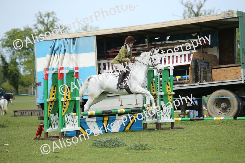 20260426-2061 - Class 15 - Absolute Novice 70cm