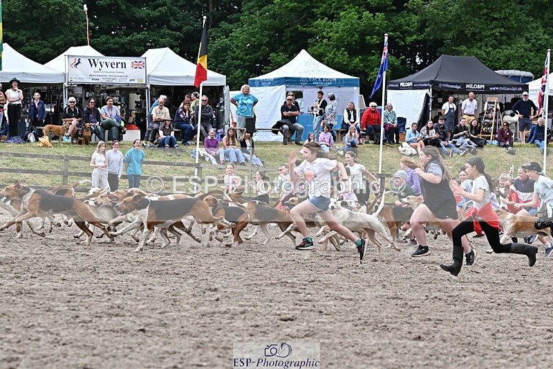 250524A-152735-12756 - East Devon Hounds