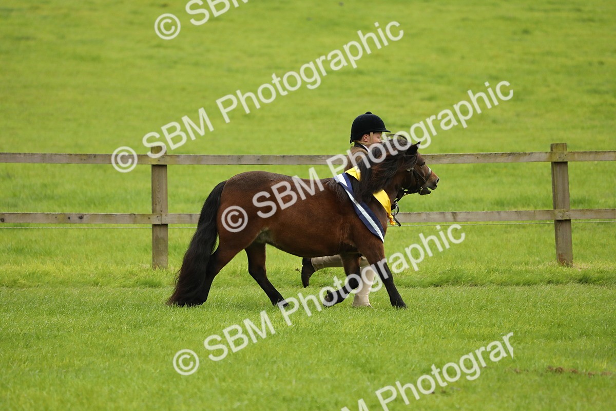 SBM_75412 - Equitation Supreme Championship