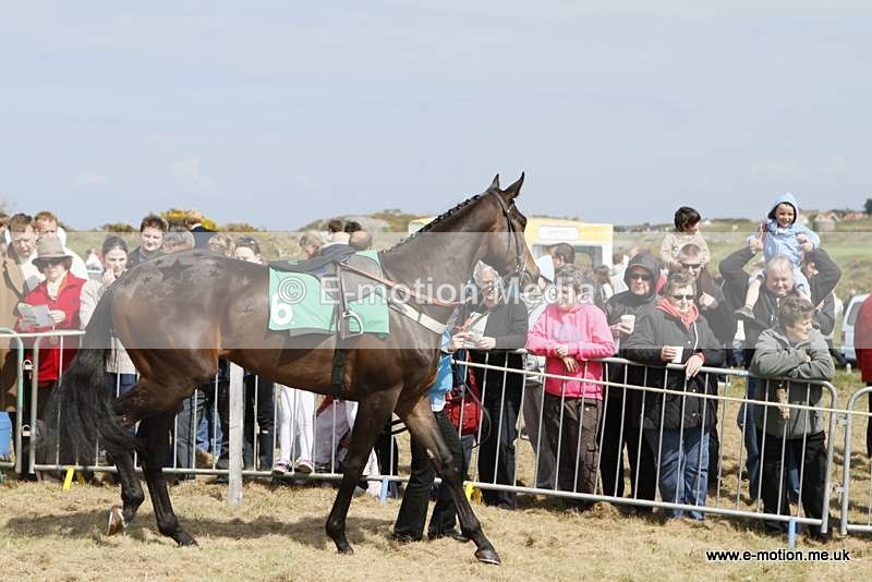  GRD 030510 21 - Guernsey Race Day 03/05/10