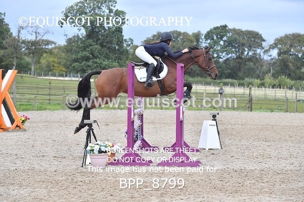 BPP_8799 - CLASS 7 Pony Newcomers/ 1m Open