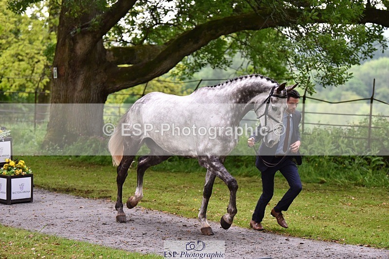 240522-162520-00904 - 202-WHIXLEY_QUALITAS-Barnie_Brotherton