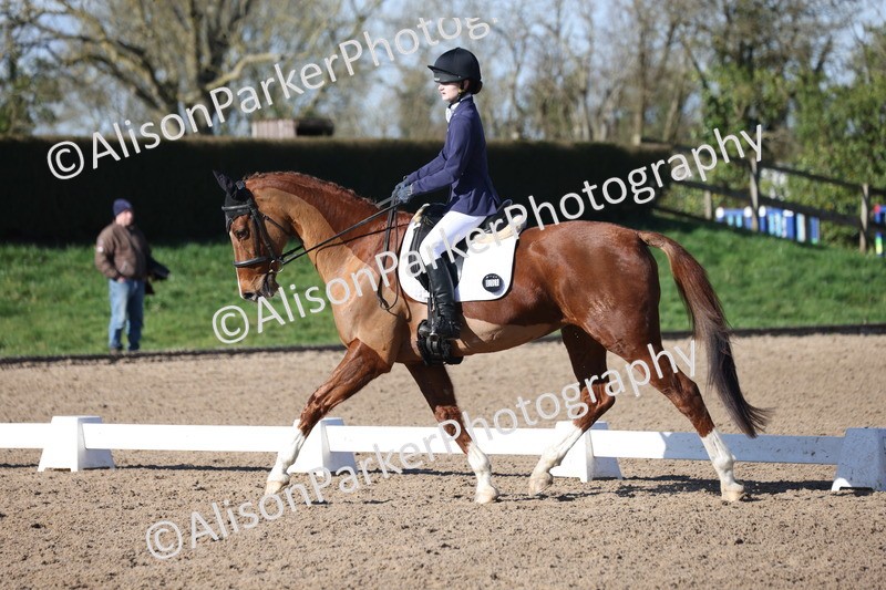 20260214-0331 - Class 4 - Novice 2