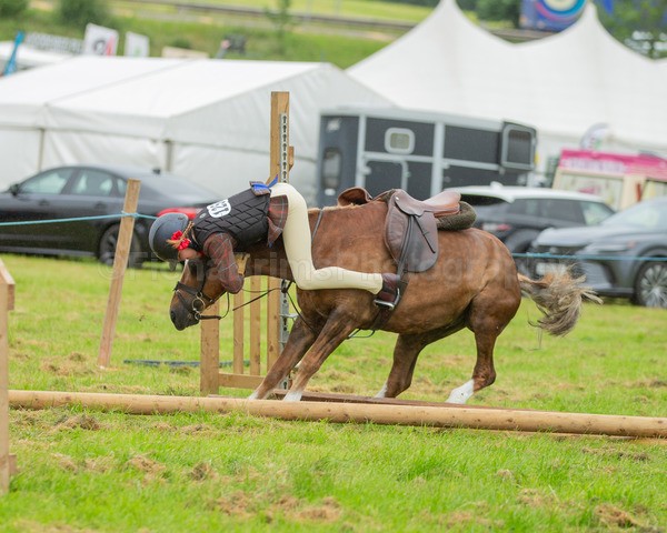 Dunblane show-42 - Dunblane and Doune Show Ring 1