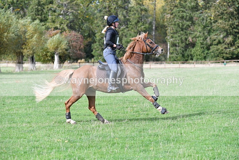 WJ5_0131 - Time 13:25 to 13:58