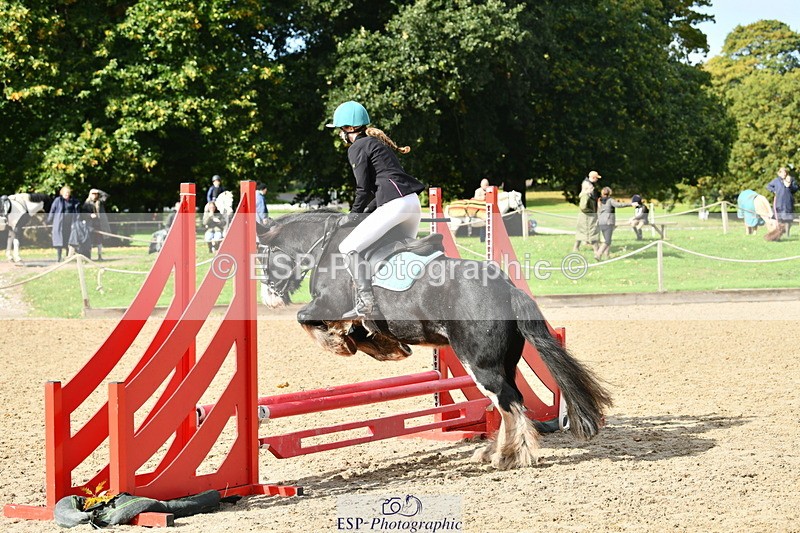 251004A-121638-00971 - Classes 4 & 5 50cm