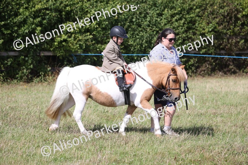 20260906-2727 - Class 25 - Absolute Beginners Pony