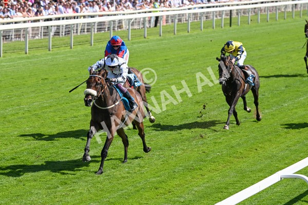 120725-Race 4-Al Qareem-5779 - Race 4 3.45pm John Smith's Silver Cup Stakes