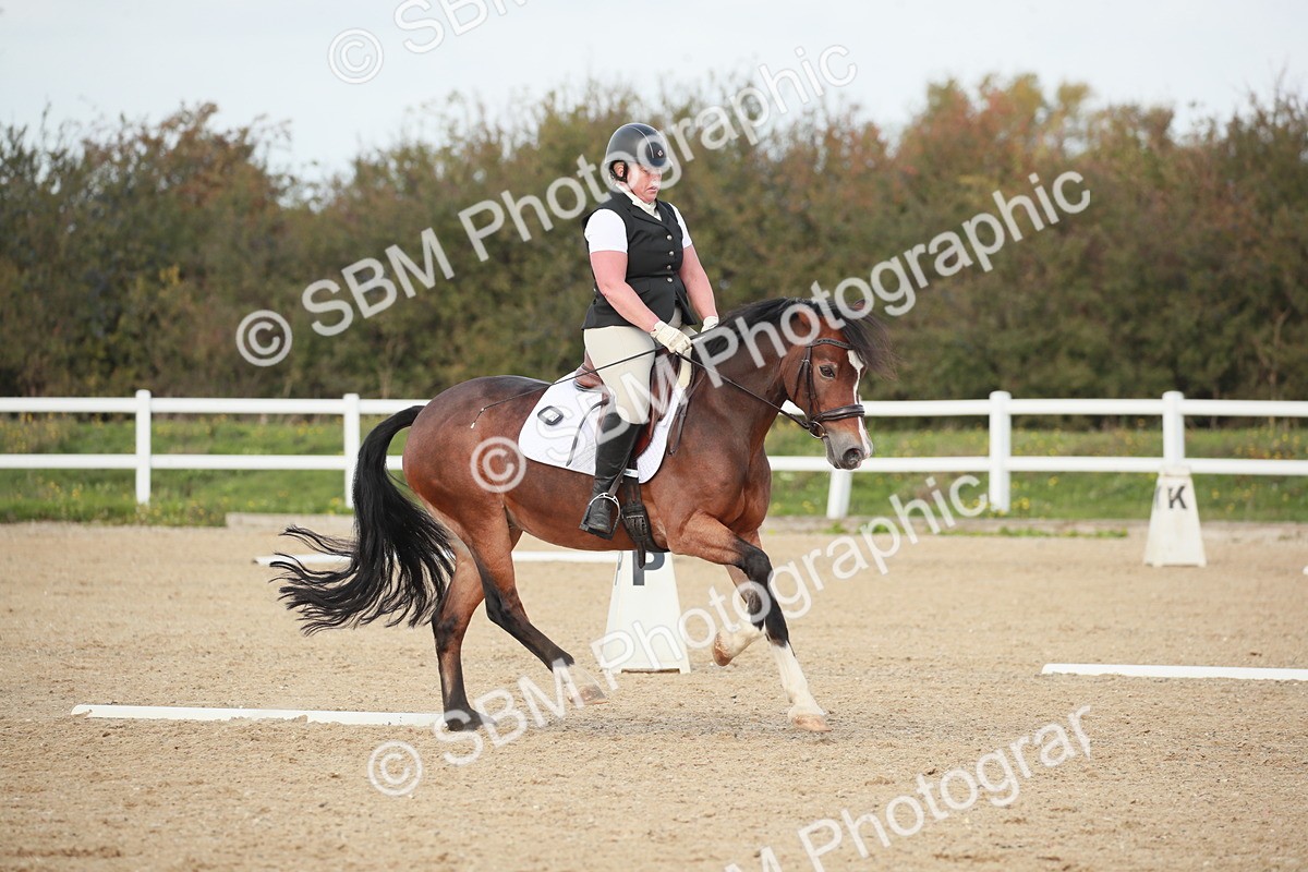 SBM_002199 - Class 6 - Elementary 5