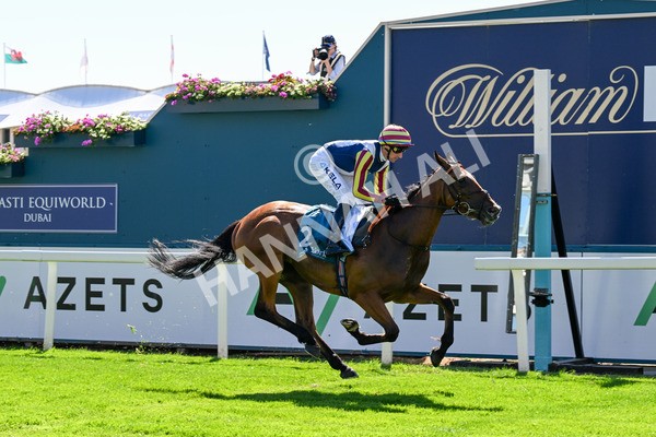 110725-Race 4-Dain Ma Nut In-0354 - Race 4 3.55pm Azets Handicap