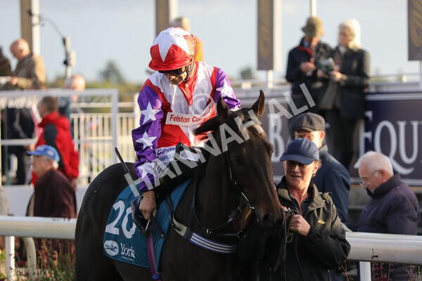 yr07102022r7-14 - Race 7 5.35pm IRE Incentive, It Pays To Buy Irish Stakes