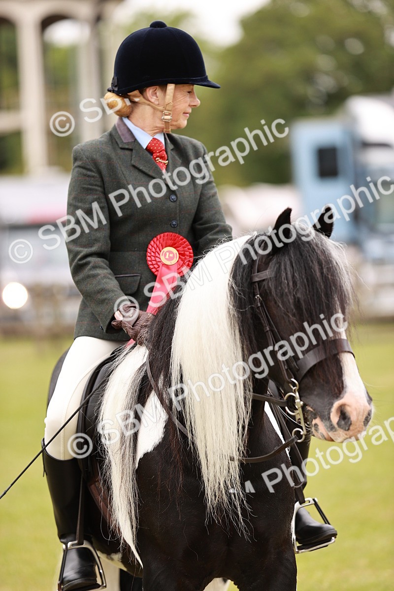 SBM_06242 - Class 39-41 TGCA In Hand and Ridden