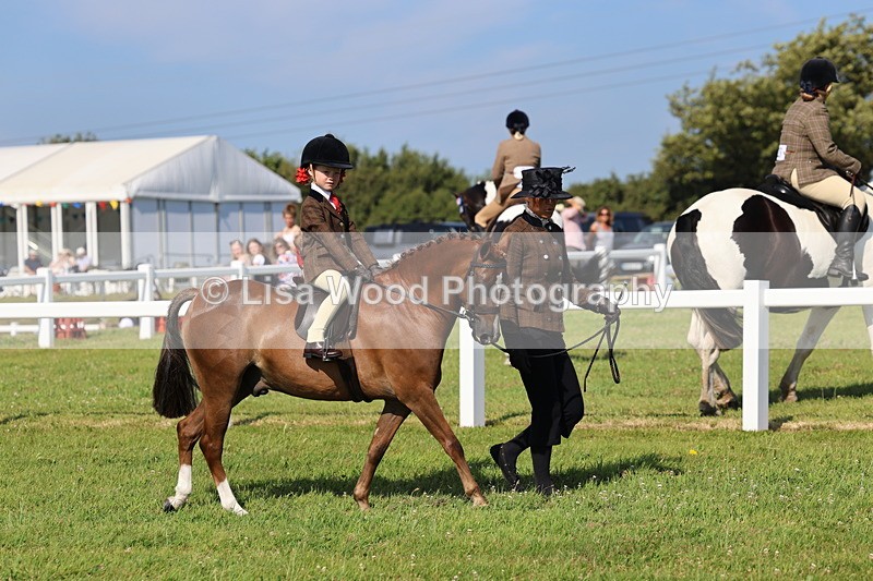 IMG_1701 - Class 31: Lead Rein SP/SHP