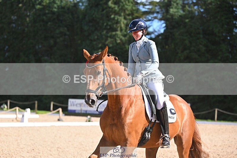 240809-163635-02433 - Novice Gold