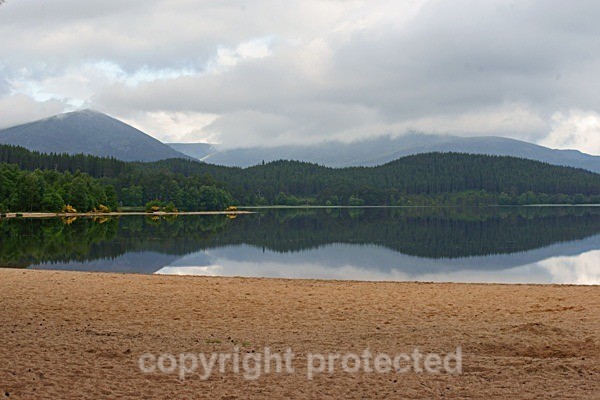 Loch Morlich - Glenmoore Forest - Scotland
