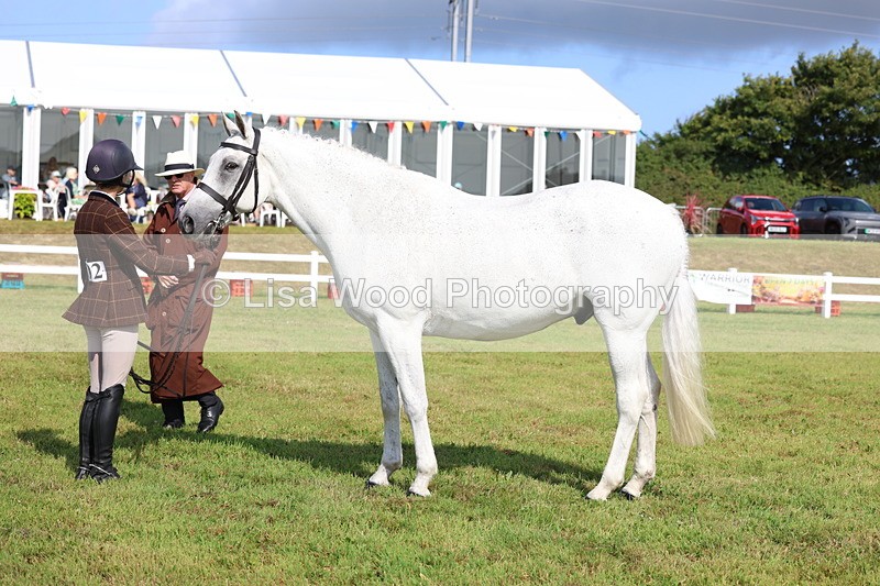 3E7A9121 - Class 3: Rising Star S/L Hunter