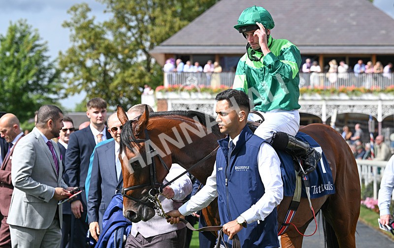 190826-056 Haffner - Race 2 14.25pm Tattersalls Acomb Stakes
