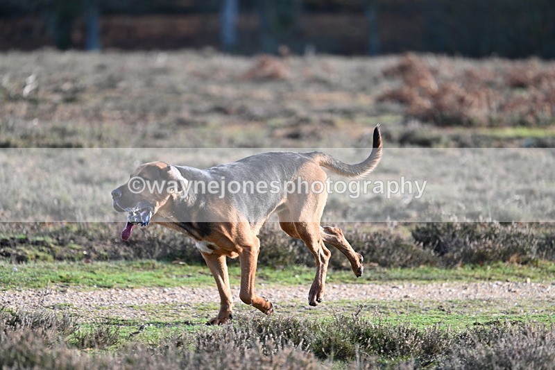 WJ7_8011 - Line 3 (no line 4 or 5)