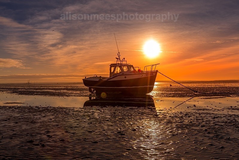  - Landscapes & Seascapes