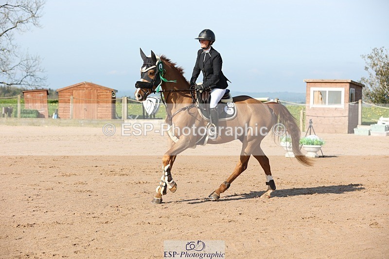 250427-090830-14765 - Cls 28 Young Horse 5yr old