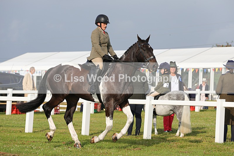 1X9A2840 - Class 25: Ridden Plaited Coloured Horse