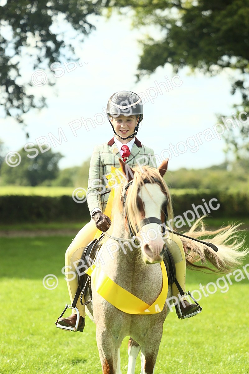 SBM_44963 - Working Hunter Pony Supreme Championship