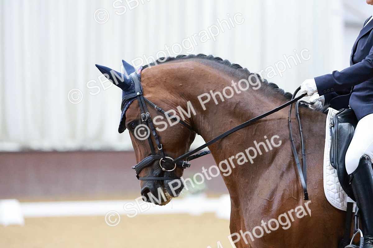 SBM_006387 - Class 3 - Medium 6 - 16.16-17.28