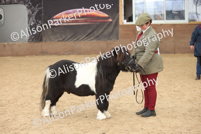 20251109-0393 - Class 15 - Coloureds