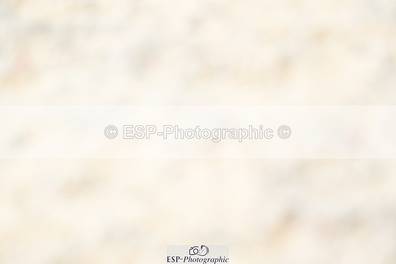 230813-110249-06504 - Cls 12 Elem Silver 10.35 to End