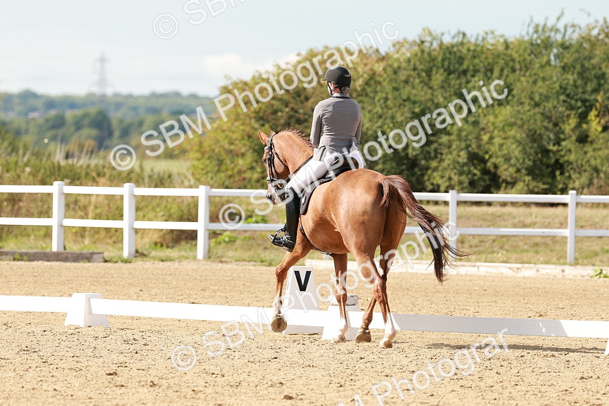 SBM_002547 - Class 11 - Medium 6