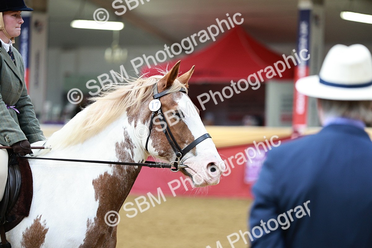 SBM_03674 - Class 6A Area Ridden Pre-Vet