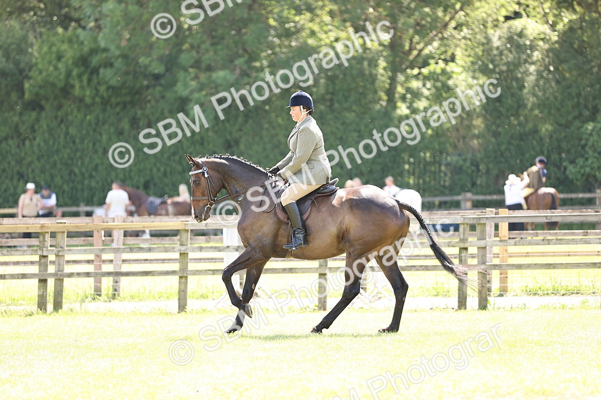SBM_14930 - Class 78 - LIHS BSHA Open Racehorse & Show Horse