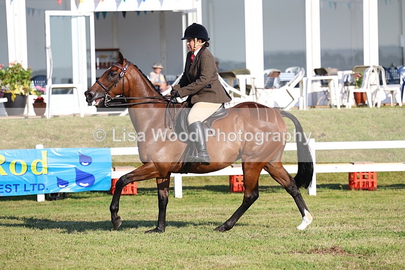 3E7A5012 - Class 1: Rising Star Small Hack/Riding Horses