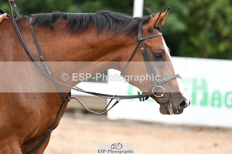 250727-084727-08604 - Cls 31 British Novice and 90cm