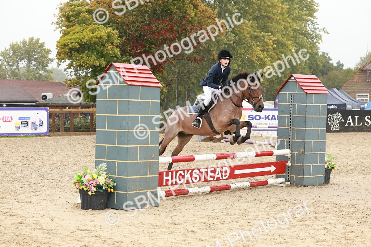 SBM_73278 - Supreme Championship Junior Pony 60cm & 65cm