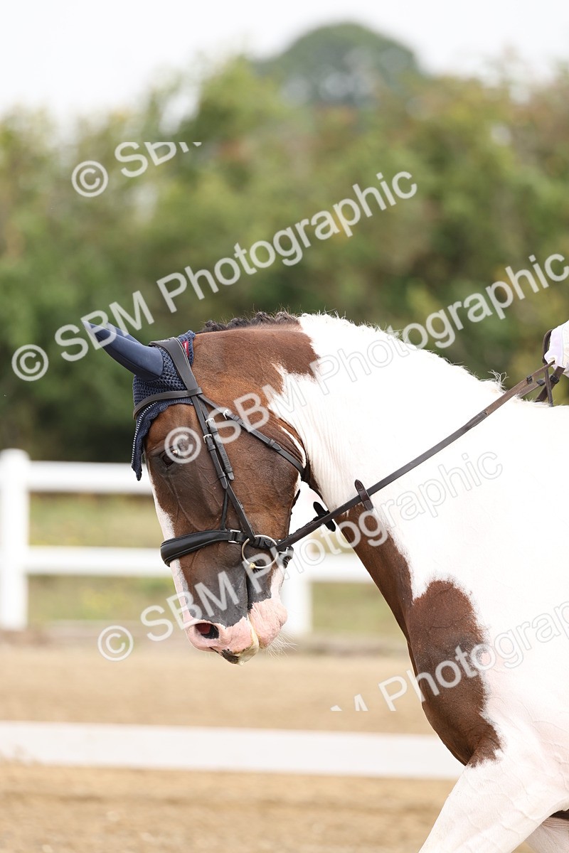 SBM_005460 - Class 6 - Novice 6 - 9.30-10.12