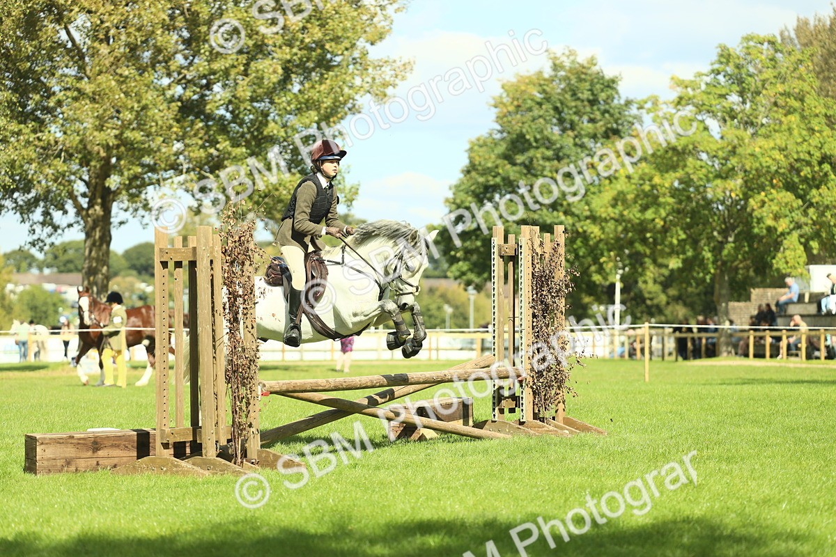 SBM_42941 - S30 - M&M Working hunter Pony