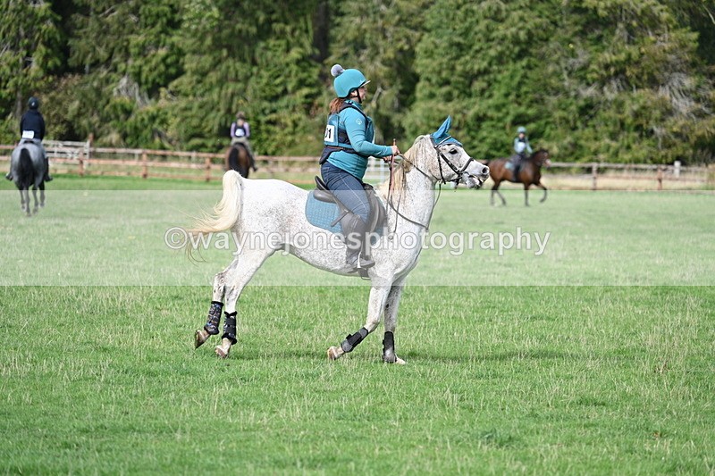 WJ7_9392 - Time 12:55 to 13:13