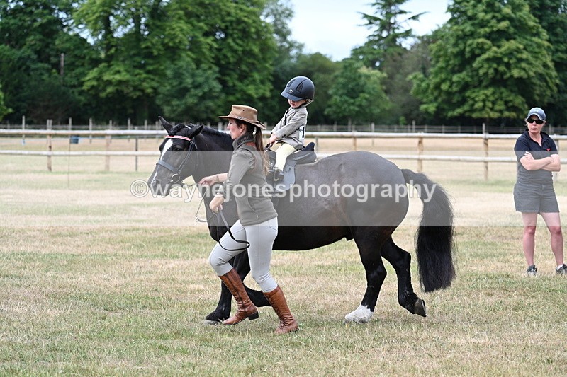 WJ7_9832 - Class 1 Lead Rein Pony