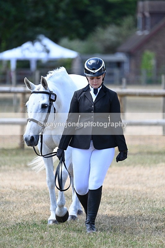 WJ7_2302 - Class 5a Most Handsome Gelding in hand (above 14.2hh)