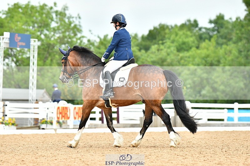 230701A-120559-05997 - Cls 8 Elementary 57