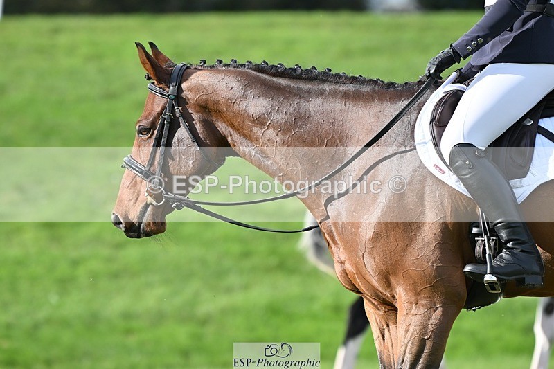 231020-144846-10993 - 668-BOWHAYLANDS.SKYFALL-Miya.Johns-DR