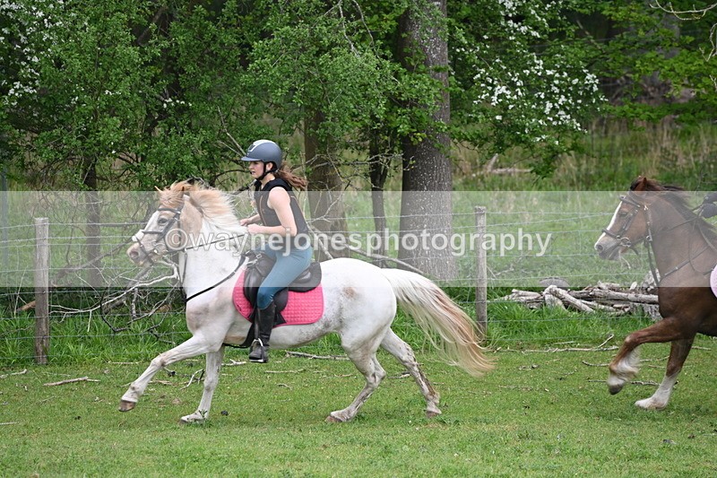 WJ6_3371 - A camera