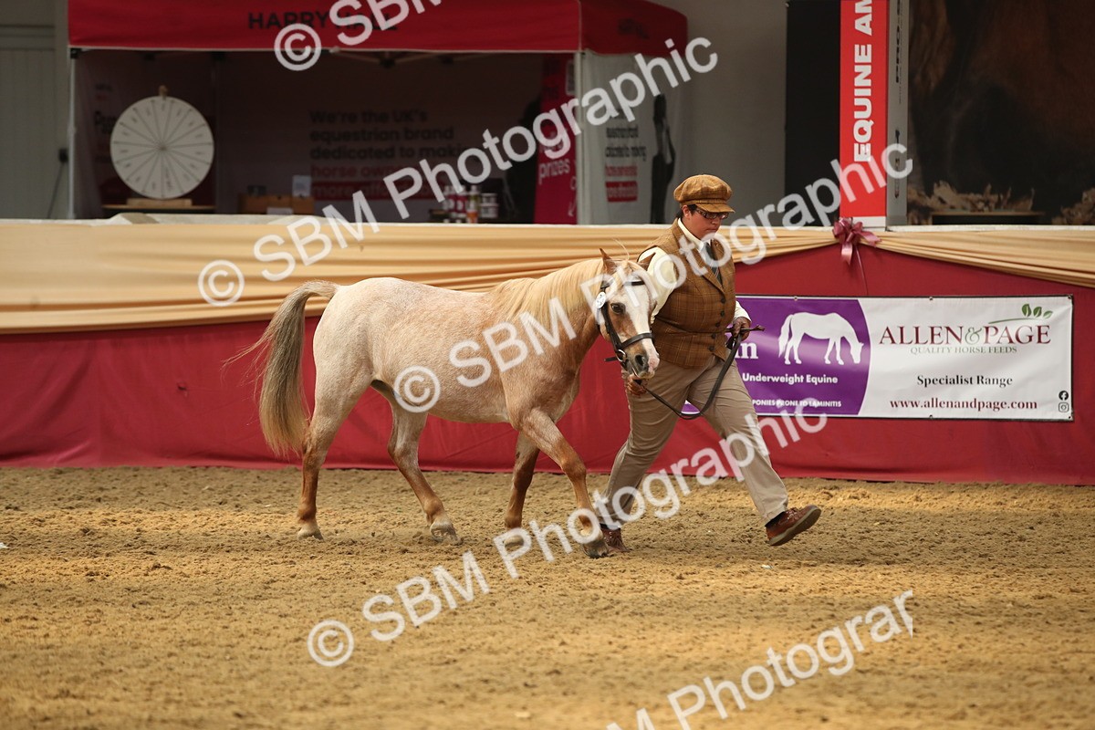 SBM_05385 - Class 8R - Regional IH Veteran