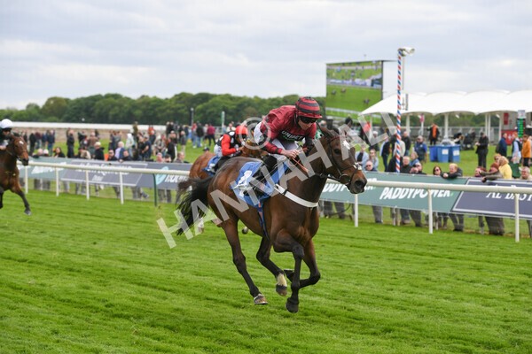 yr12052022r7-21 - Race 7 5.15pm Fidomoney Stakes