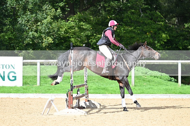 WJ7_3161 - Time 13:20 to 13:58