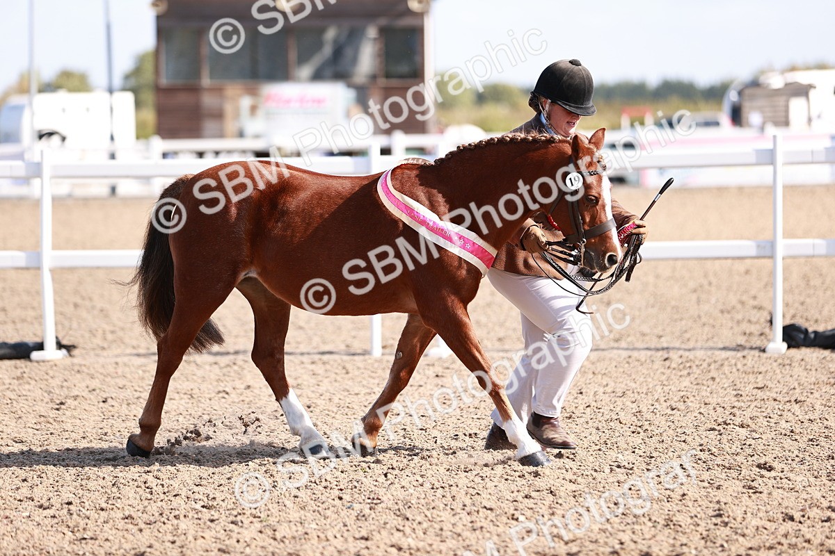 SBM_22738 - Class 704 - IH  Rescue