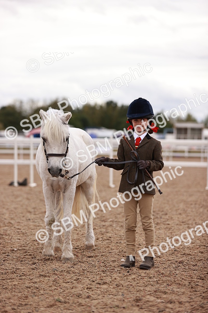 SBM_18567 - Class 421 - Childs Best Friend - Jnr